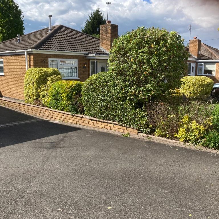 Hedge Trimming