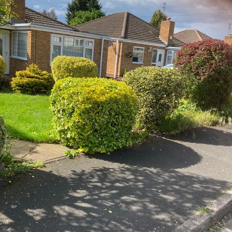 Hedge Trimming