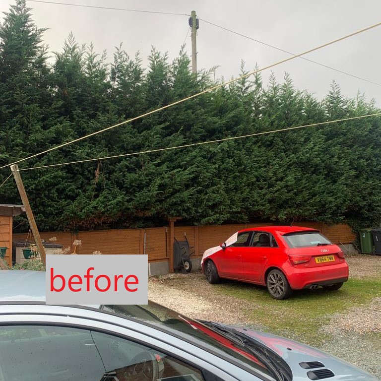 Hedge Trimming