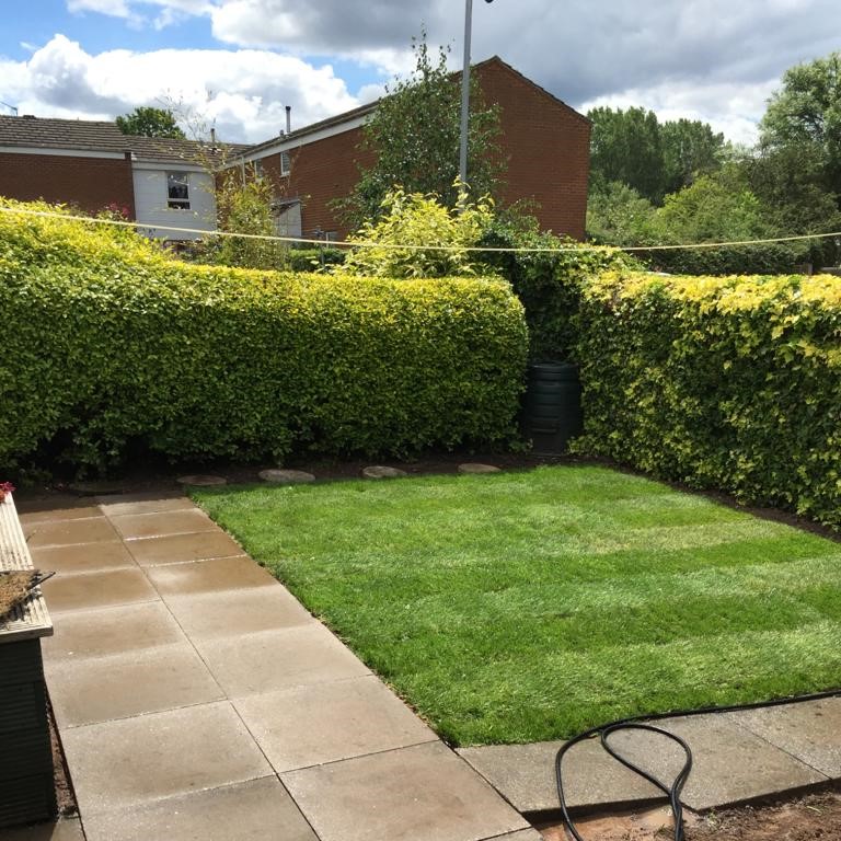 Hedge Trimming