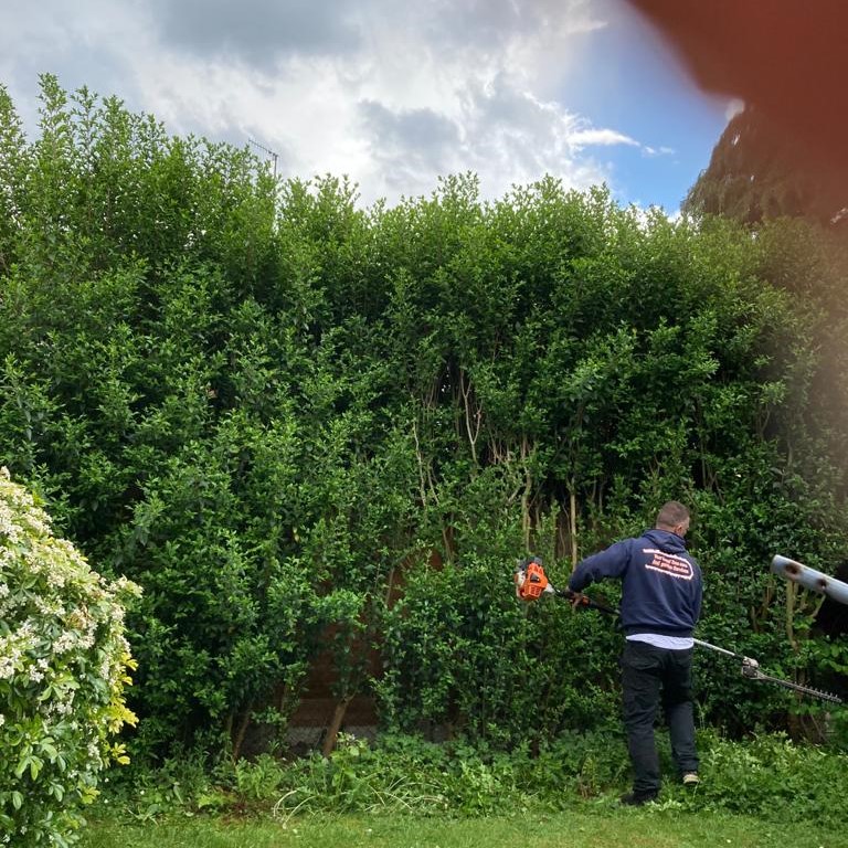 Hedge Trimming