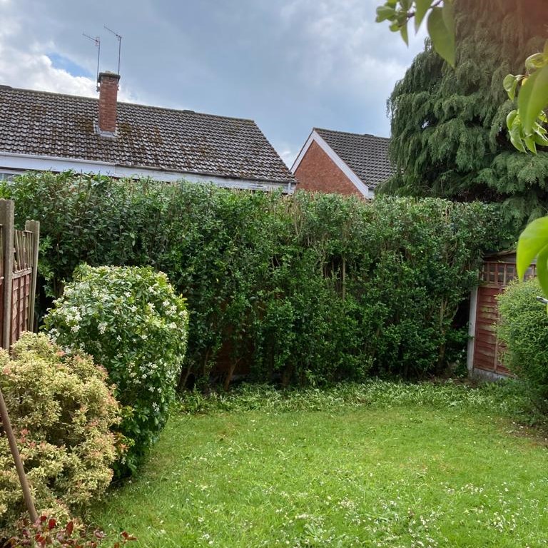 Hedge Trimming