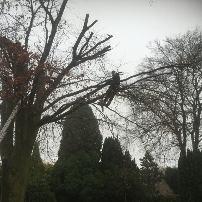 Prunning